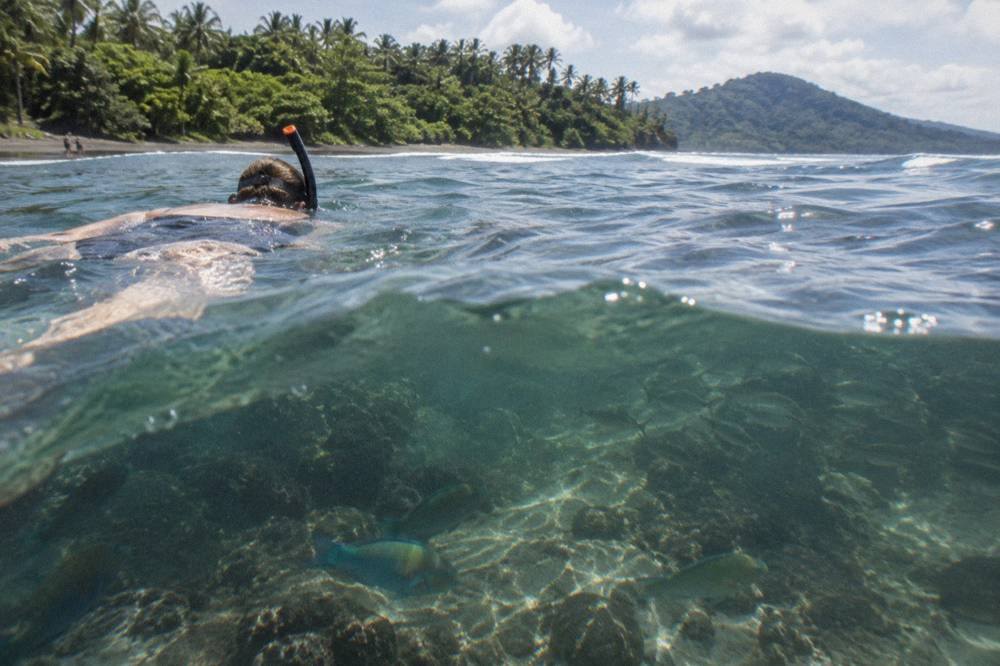 Snorkeler floating over a shallow reef with small tropical fish visible below the surface