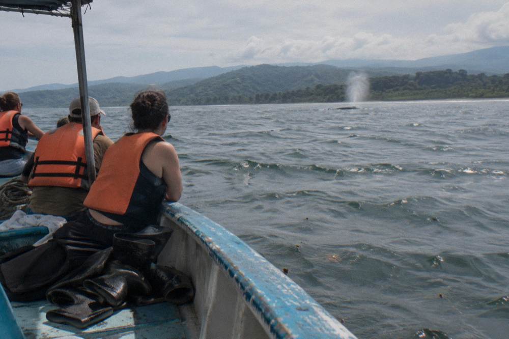 Boat passengers in life jackets watching a whale surface in open water