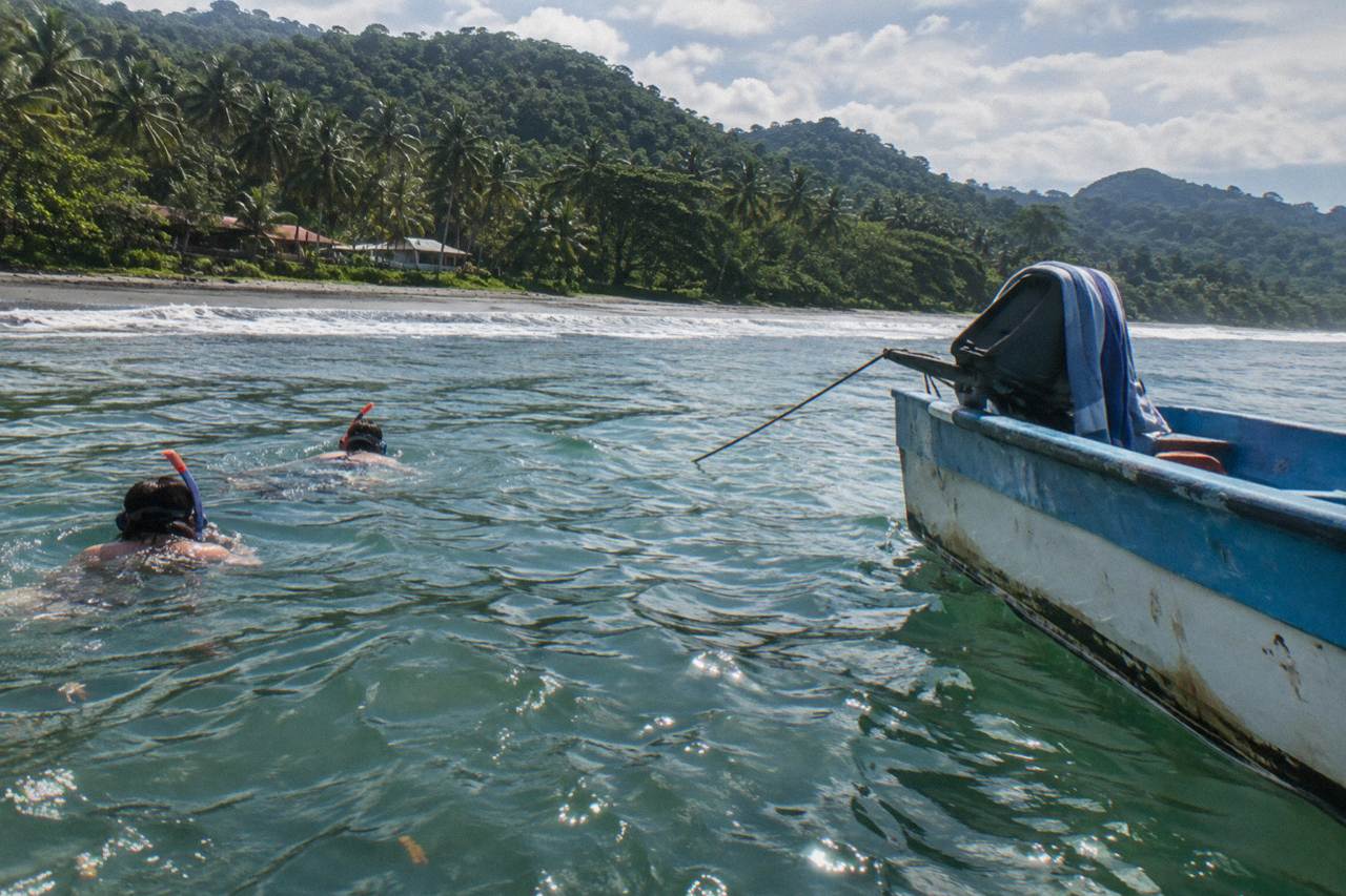 Snorkelers in clear water beside a boat near a forested island coastline