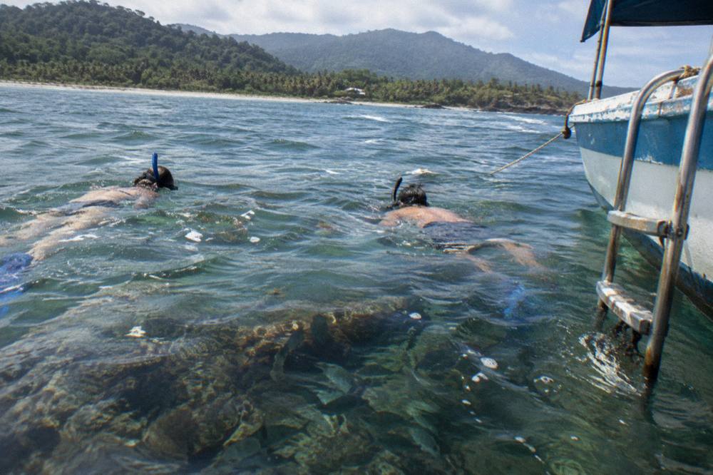 Snorkelers floating over a rocky reef with schools of small tropical fish in clear water
