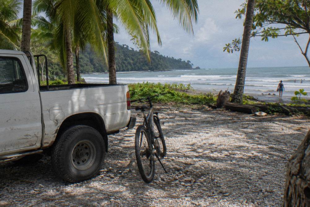 A parked pickup truck and a bicycle beside a gravel parking area shaded by palm trees near a beach