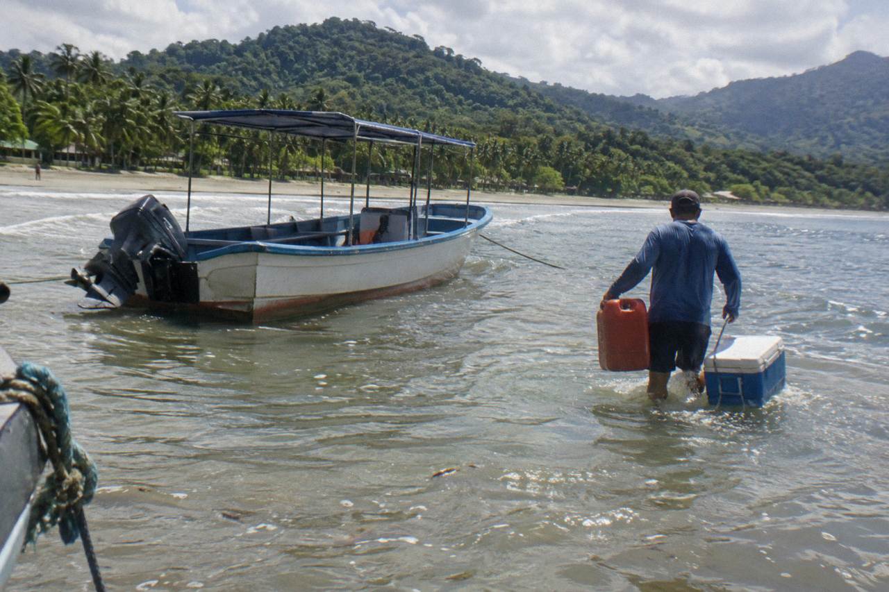 A small open tour boat anchored off a wide palm-lined beach at low tide with green hills behind
