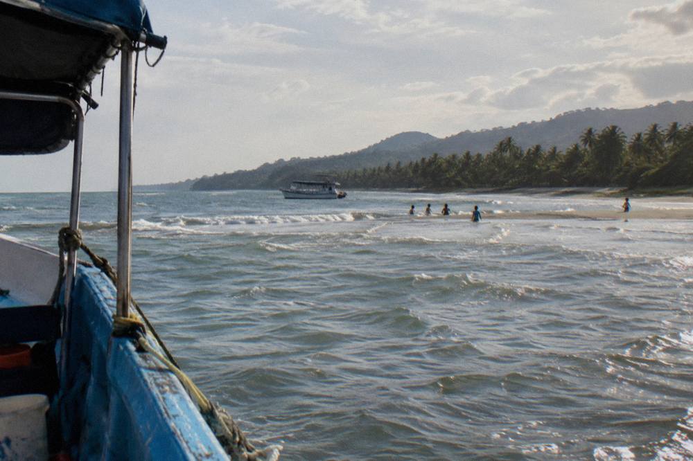A whale watching tour boat at anchor near a palm lined beach