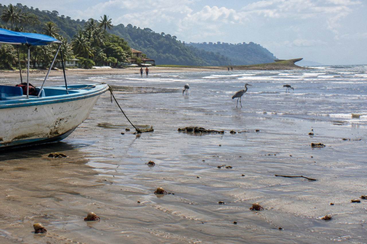 A calm tour boat resting on the sand at low tide beside the whale tail sandbar at Playa Uvita