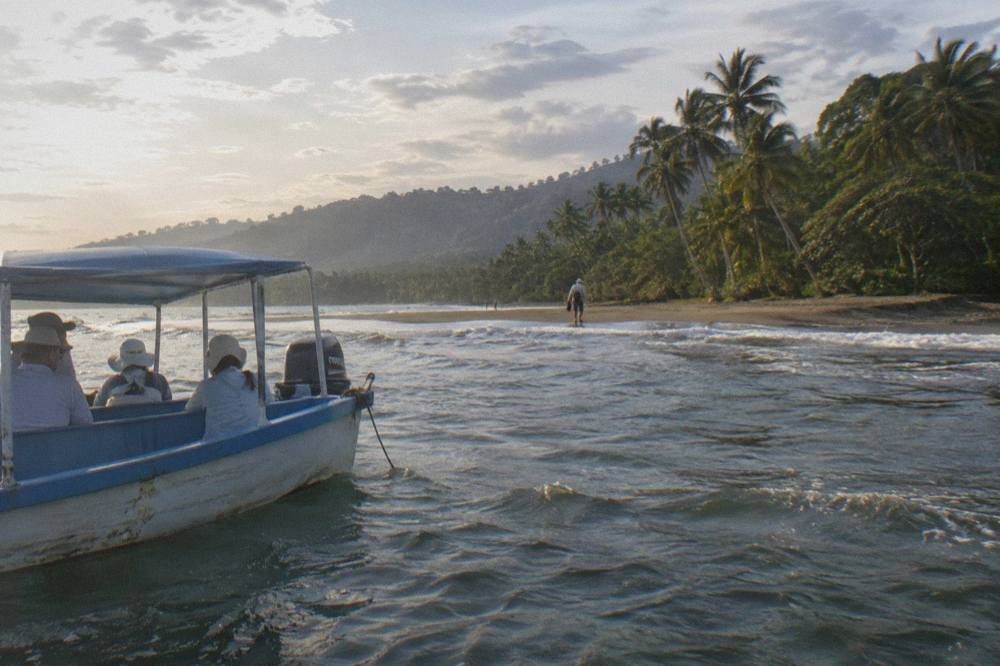Open whale watching boat anchored off a palm lined beach with passengers in sun hats and light shirts