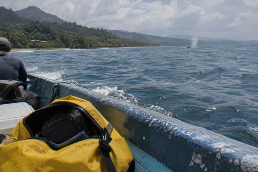 Hands holding a camera inside a dry bag on a boat deck with ocean and distant whale spray