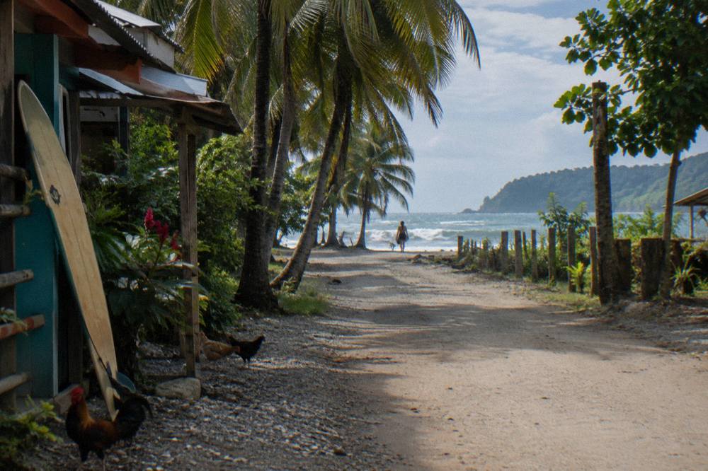 Quiet coastal road lined with palm trees running toward the beach at Bahía Ballena