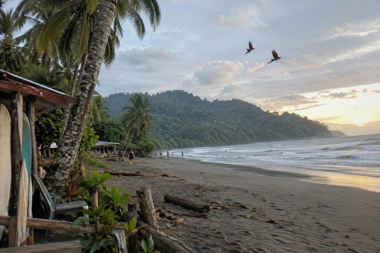 Palm trees and green hills above a wide Pacific beach at Uvita in morning light